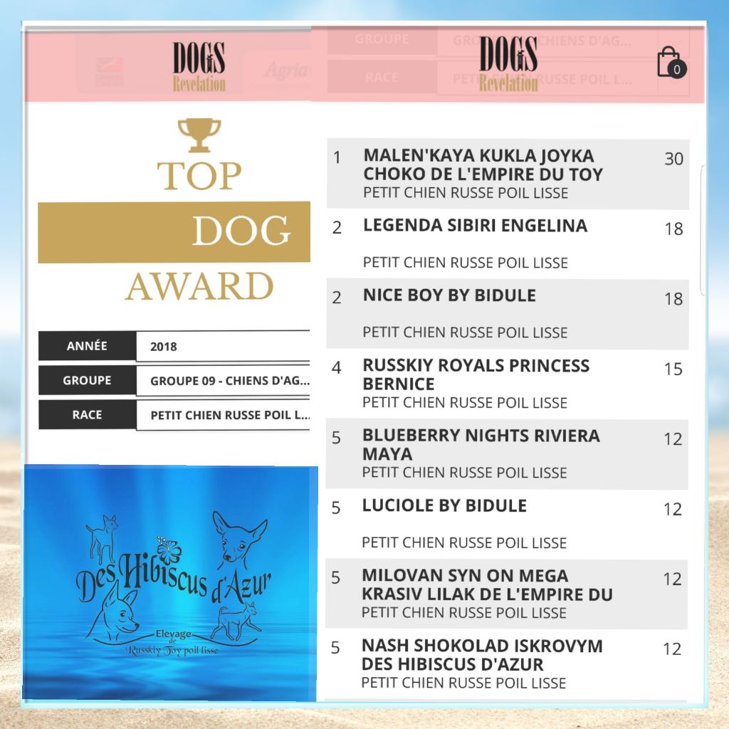 Des Hibiscus D'Azur - Dogs Revelation Awards