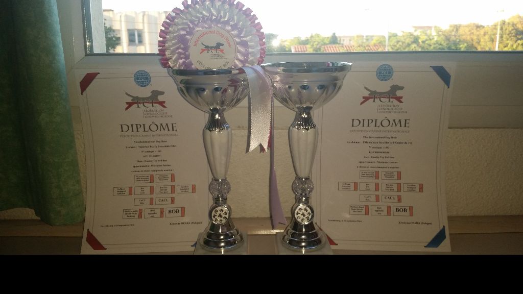 Des Hibiscus D'Azur - Champions du LUXEMBOURG !