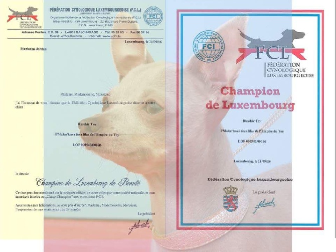 Des Hibiscus D'Azur - C'est officiel ! Malenka a reçu son titre de Champion de Luxembourg !