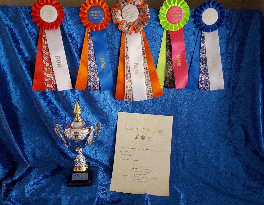 Des Hibiscus D'Azur - Liguria Dog Show et Trophée de la Méditerranée